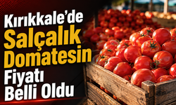 Kırıkkale’de Salçalık Domatesin Fiyatı Belli Oldu