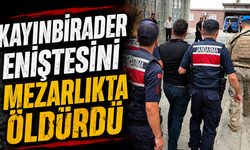 Kayınbirader Eniştesini Mezarlıkta Öldürdü