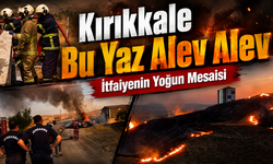 Kırıkkale Bu Yaz Alev Alev: İtfaiyenin Yoğun Mesaisi