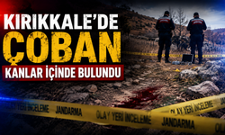 Kırıkkale’de Çoban Başından Vurulmuş Halde Bulundu
