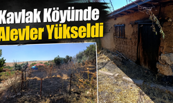 Kavlak Köyünde Alevler Yükseldi