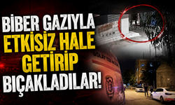 Biber Gazıyla Etkisiz Hale Getirip Bıçakladılar