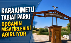 Karaahmetli Tabiat Parkı Doğanın Misafirlerini Ağırlıyor