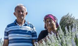 Umutla Yetiştirdi, Gözyaşlarıyla Anlattı: Yaşlı Çiftin Lavanta Bahçesindeki Hüzünlü Bekleyişi