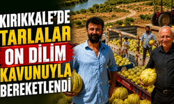 Kırıkkale’de Tarlalar ‘On Dilim’ Kavunuyla Bereketlendi