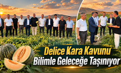 Delice Kara Kavunu Bilimle Geleceğe Taşınıyor