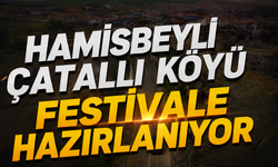 Hamisbeyli Çatallı Köyü Festivale Hazırlanıyor