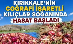 Kılıçlarda 10. Soğan Festival yapılacak