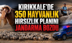 Kırıkkale’de 350 Hayvanlık Hırsızlık Planını Jandarma Bozdu