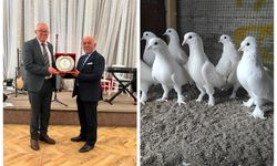 Güvercin severler Kırıkkale'de buluştu
