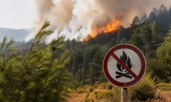 Orman yangınlarında 34 şüpheli tespit edildi: 9 kişi tutuklandı