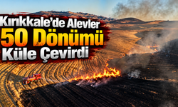 Kırıkkale’de Alevler 50 Dönümü Küle Çevirdi