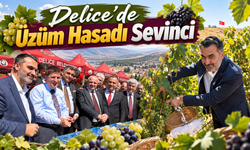 Delice’de Üzüm Hasadı Sevinci