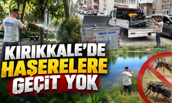 Kırıkkale’de Haşerelere Geçit Yok