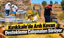 Kırıkkale’de Arılı Kovan Destekleme Çalışmaları Sürüyor