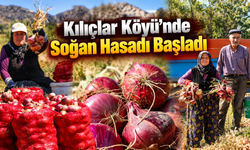 Kılıçlar Köyü’nde Soğan Hasadı Başladı