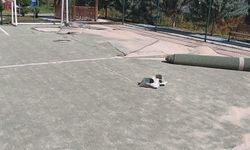 Yahşihan’da Parklar Yenileniyor