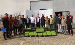 Kırıkkale’de Üreticiye 69 Bin Marul Fidesi