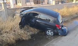 Yola Çıkan Köpek Kazaya Neden Oldu: 1 Yaralı