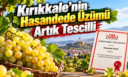 Kırıkkale’nin Hasandede Üzümü Artık Tescilli