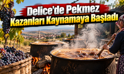 Delice’de Pekmez Kazanları Kaynamaya Başladı