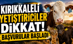 Kırıkkaleli Yetiştiriciler Dikkat! Başvurular Başladı