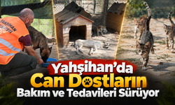 Yahşihan’da Can Dostların Bakım ve Tedavileri Sürüyor