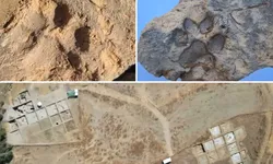 4 bin yıl öncesinden kalan pati izleri gün yüzüne çıktı