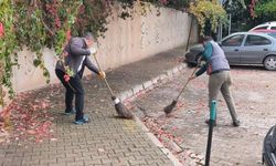 Yeşilvadi TOKİ'de Köşe Bucak Temizlik