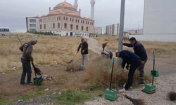 Yahşihan’da Hafriyat ve Atıklar Tek Tek Kaldırılıyor