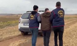 Oğlunu Öldürdü, Ardından Merhem İstemeye Gitti