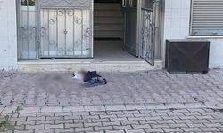 Kedi Tüyü Silkeleme Tartışması Kanlı Bitti: 2 Yaralı