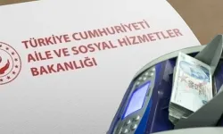Ailelere 9 ayda 17,3 milyar liralık SED desteği