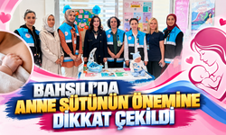 Bahşılı’da Anne Sütünün Önemine Dikkat Çekildi