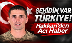 Şehidin Var Türkiye! Hakkari'den Acı Haber