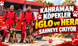 Kahraman Köpekler İglo ve Hera Sahneye Çıkıyor