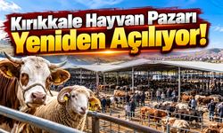 Kırıkkale Hayvan Pazarı Yeniden Açılıyor!