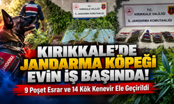 Kırıkkale’de Jandarma Köpeği EVİN İş Başında!