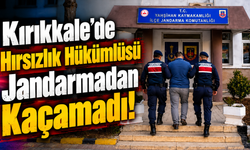 Kırıkkale’de Hırsızlık Hükümlüsü Jandarmadan Kaçamadı!