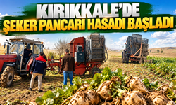 Kırıkkale’de Şeker Pancarı Hasadı Başladı