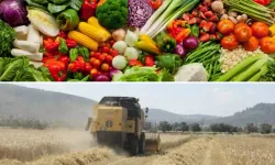 Tarım ürünlerinde fiyatlar eylülde düştü