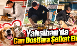 Yahşihan’da Can Dostlara Şefkat Eli