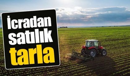 Kırıkkale’de Mahkemeden Satılık Tarla: 17.642 m²