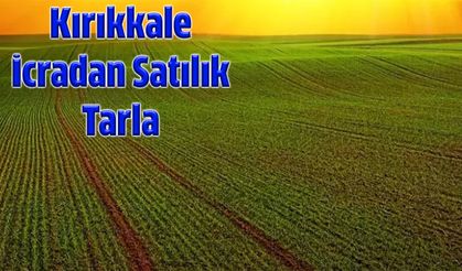 Kırıkkale'de 58 Dönümlük Tarla Mahkemeden Satışta