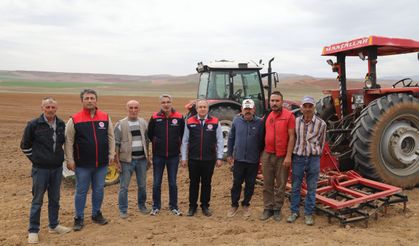 Büyükyağlı’da 500 Dekar Meraya Islah