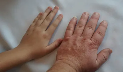 İnsan Uzuvları Yeniden Büyüyebilir Mi? Cevap Axolotl’da Gizli