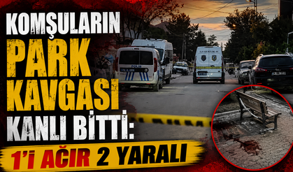 Komşuların Park Kavgası Kanlı Bitti: 1’i Ağır 2 Yaralı