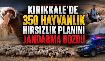 Kırıkkale’de 350 Hayvanlık Hırsızlık Planını Jandarma Bozdu