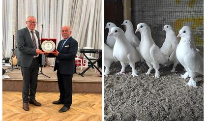Güvercin severler Kırıkkale'de buluştu