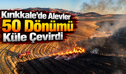 Kırıkkale’de Alevler 50 Dönümü Küle Çevirdi